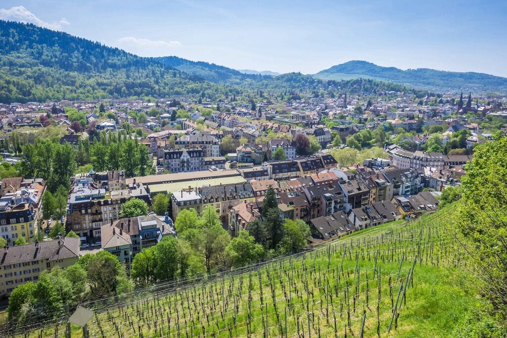 In und um die Breisgaumetropole herum: Haus kaufen in Freiburg und Umgebung
