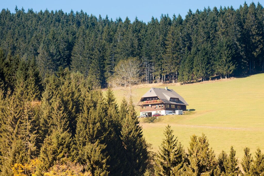 Sie wollen eine Wohnung kaufen in Schönwald im Schwarzwald? Nutzen Sie Ihre Chance
