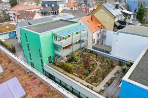 Der große Gartenbereich